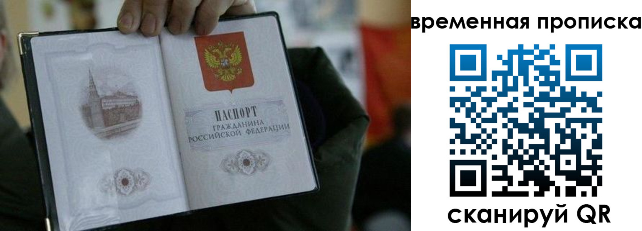 найти адрес прописки в Димитровграде